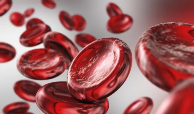 Hemoglobin trong máu
